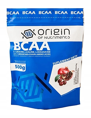 BCAA 2:1:1 500g Origin Of Nutriments
